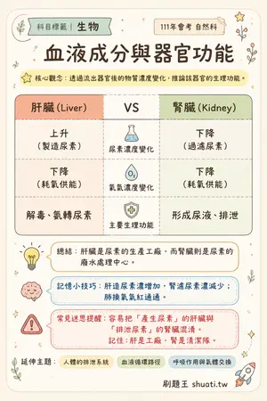 AI 記憶小卡