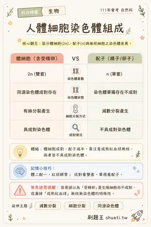AI 記憶小卡