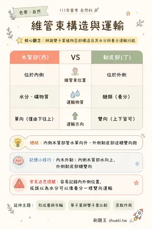 AI 記憶小卡