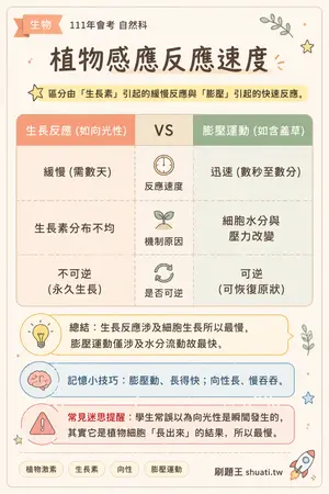 AI 記憶小卡