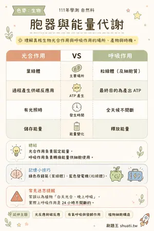 AI 記憶小卡