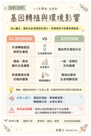 AI 記憶小卡