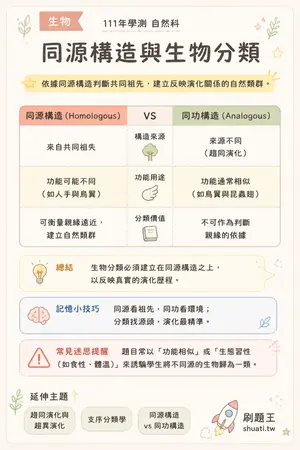 AI 記憶小卡