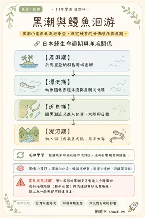 AI 記憶小卡