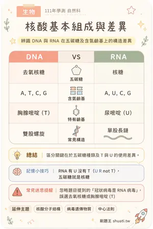 AI 記憶小卡