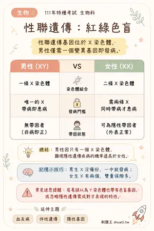 AI 記憶小卡