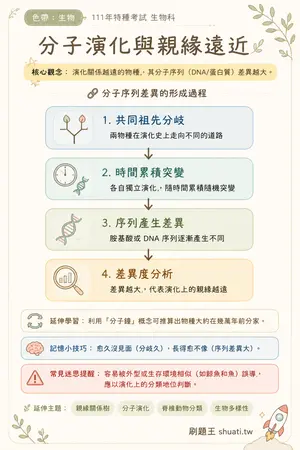 AI 記憶小卡