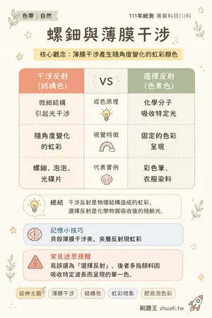 AI 記憶小卡