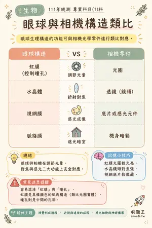AI 記憶小卡