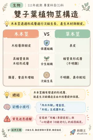 AI 記憶小卡