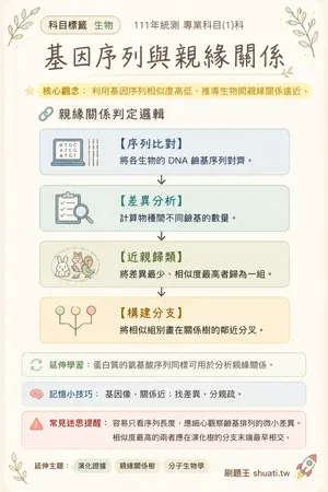 AI 記憶小卡