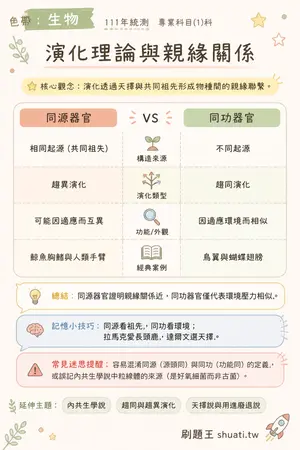 AI 記憶小卡