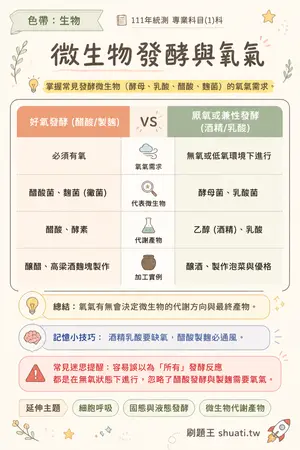 AI 記憶小卡