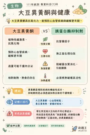 AI 記憶小卡