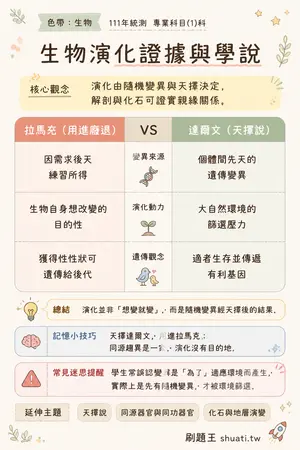 AI 記憶小卡