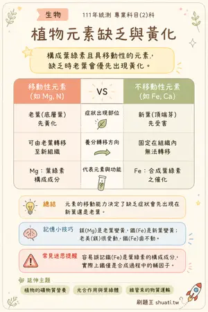 AI 記憶小卡