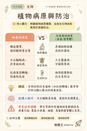 AI 記憶小卡