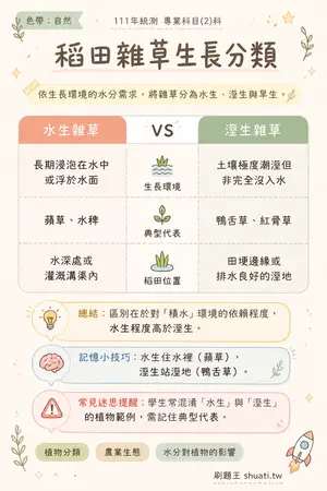 AI 記憶小卡