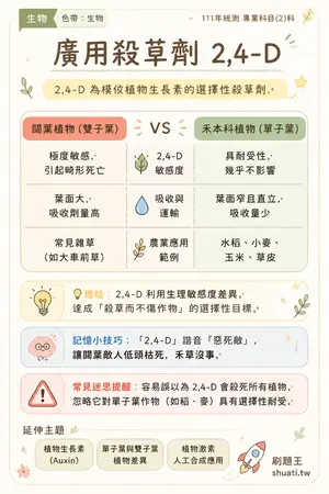AI 記憶小卡