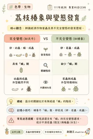 AI 記憶小卡