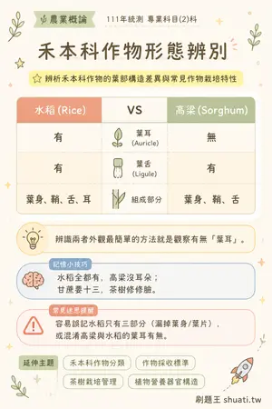 AI 記憶小卡