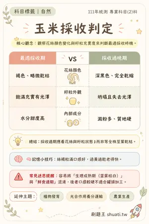 AI 記憶小卡