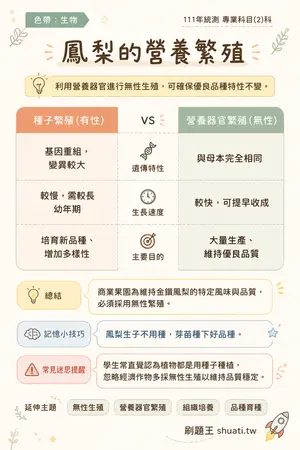 AI 記憶小卡