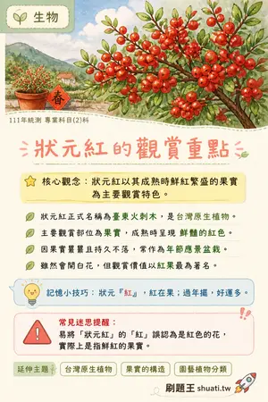 AI 記憶小卡