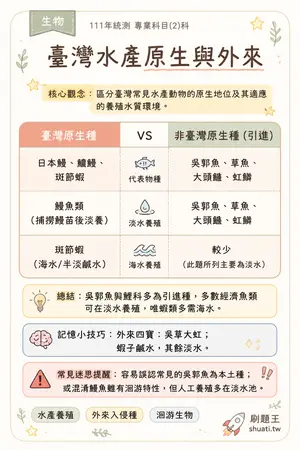 AI 記憶小卡