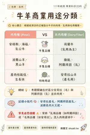AI 記憶小卡