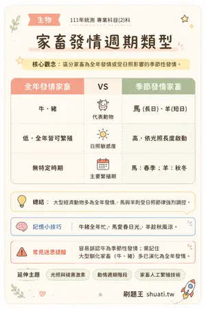 AI 記憶小卡