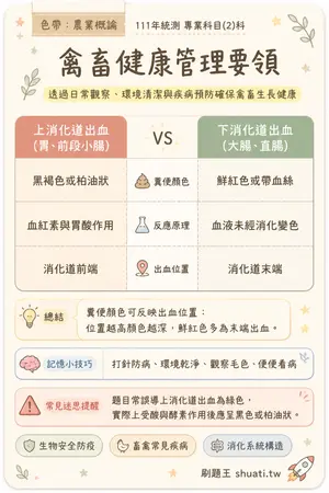 AI 記憶小卡