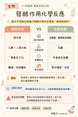 AI 記憶小卡