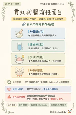 AI 記憶小卡