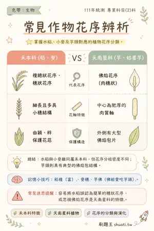 AI 記憶小卡
