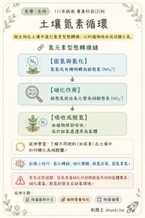 AI 記憶小卡