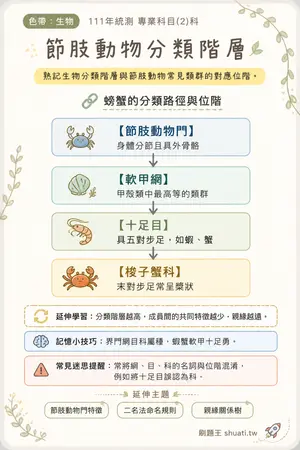 AI 記憶小卡