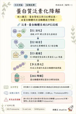 AI 記憶小卡