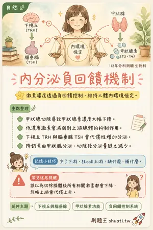 AI 記憶小卡