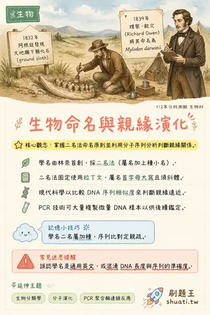 AI 記憶小卡