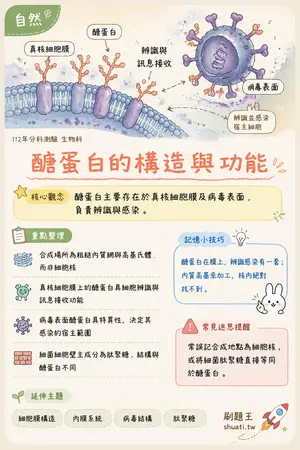 AI 記憶小卡
