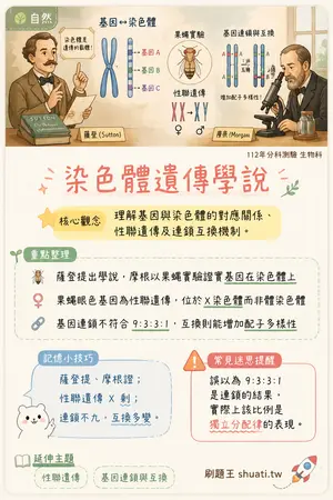 AI 記憶小卡
