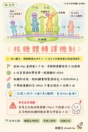 AI 記憶小卡