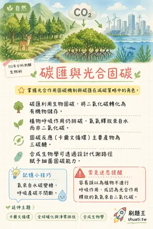 AI 記憶小卡