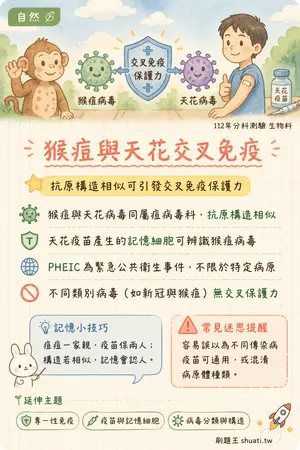 AI 記憶小卡