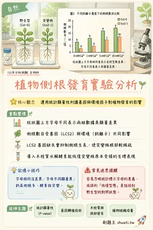 AI 記憶小卡