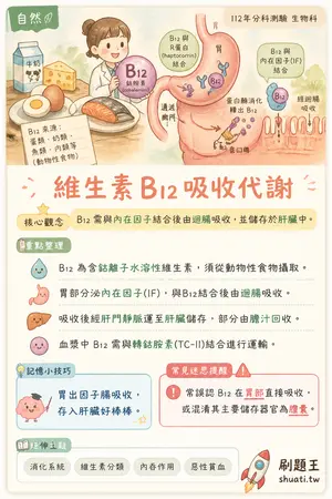 AI 記憶小卡