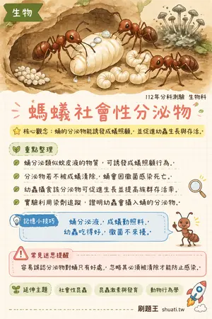 AI 記憶小卡