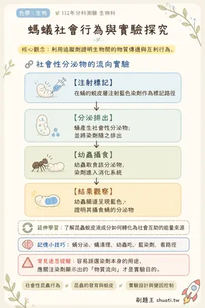 AI 記憶小卡