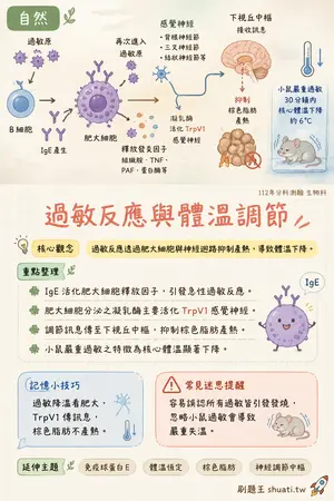 AI 記憶小卡